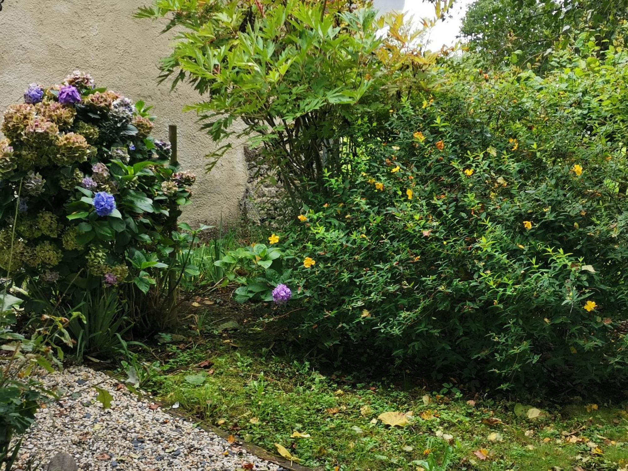 Moyon Les Brassins Du Dillon 빌라 외부 사진
